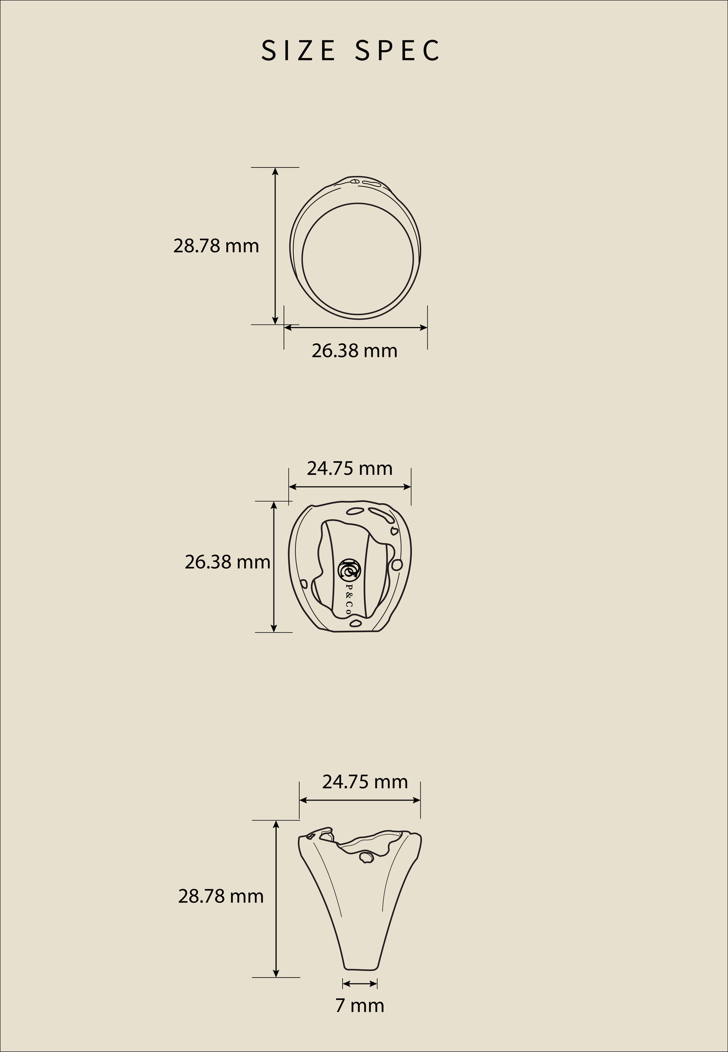 Passé Melanin Projection Ring, mirror-polished solid gold band
