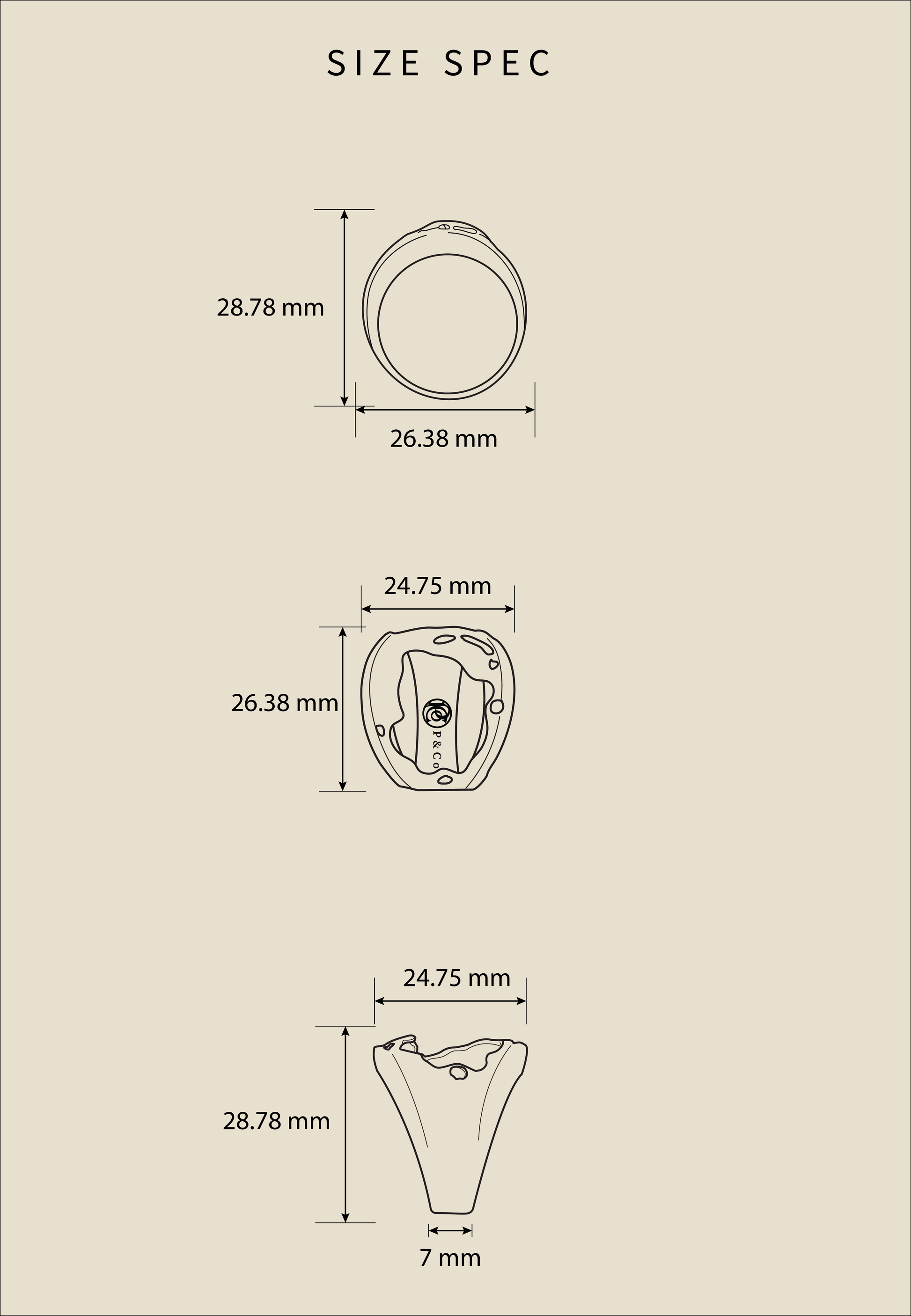 Passé Melanin Projection Ring, mirror-polished solid gold band